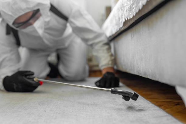 Professional Cockroach Control technician working in Burton, OH