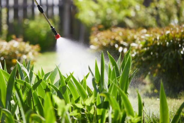 24/7 Emergency Cockroach Control experts in Burton, OH