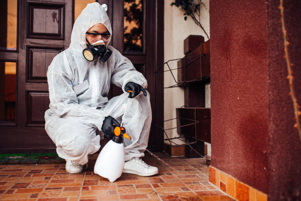 Reliable Cockroach Control contractor in Burton, OH by Nex Pest Control