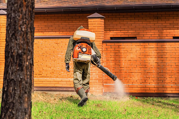 Top rated local Cockroach Control specialists in Burton, OH